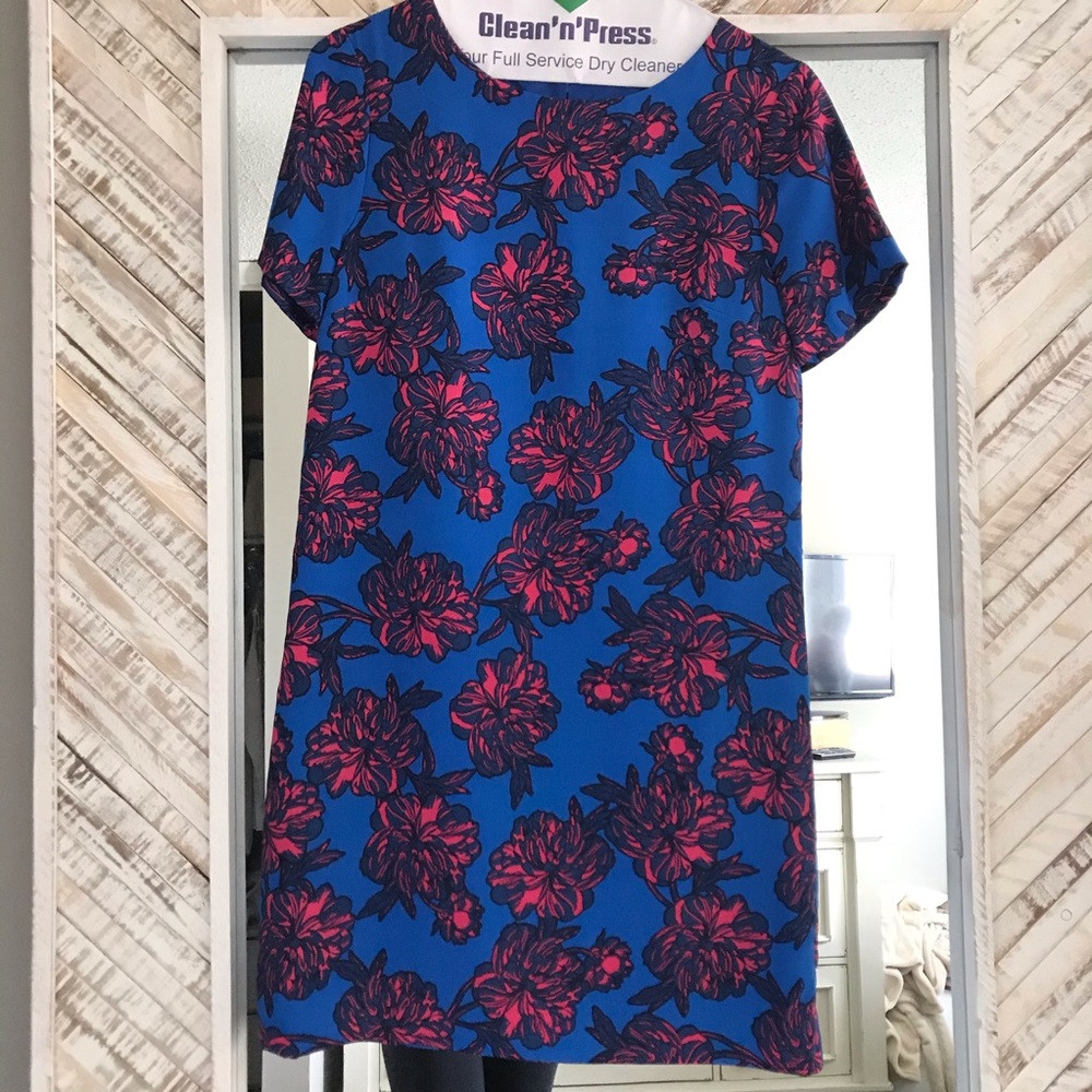 J. Crew Dress